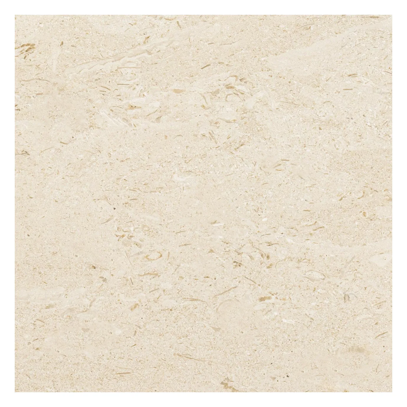 Shellstone Honed Tile