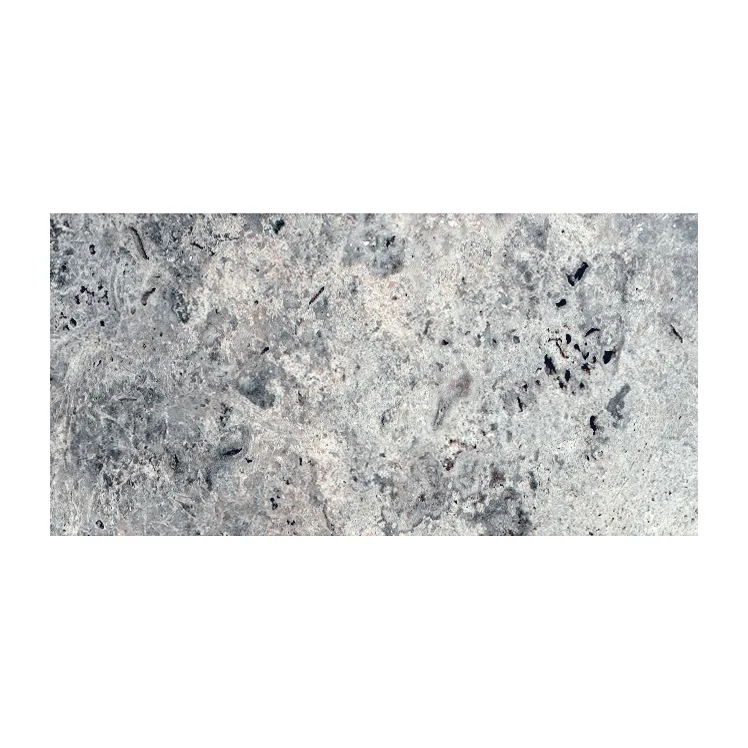 Silver Travertine Tile