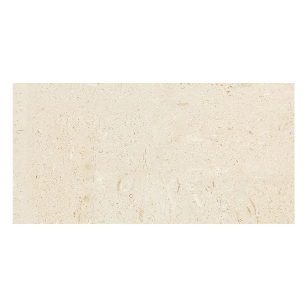 Shellstone Honed Tile