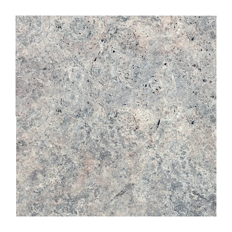 Silver Travertine Tile